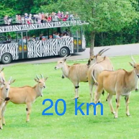 Luky Prázdninový dům